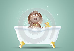 Dog in bath for grooming photo