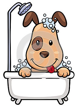 Dog Bathing