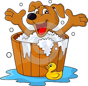 Dog bathing time