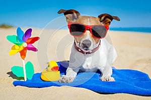 Il cane sul Spiaggia 
