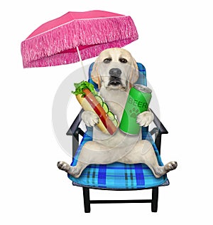 Dog with beer rests on beach chair 2