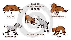 Dog Behavior Poster 2-31