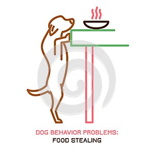 Dog Behavior Problem Icon