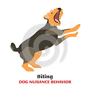 Dog behavior problem icon