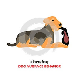 Dog behavior problem icon