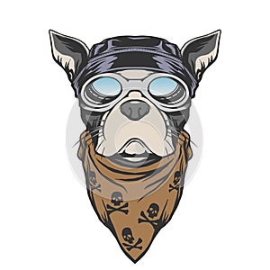 Dog biker illustration