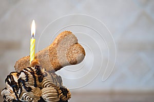 Dog Birthday Cupcake with Lighted Yellow Candle