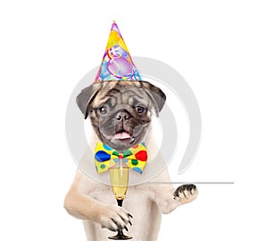 Dog in birthday hat holding glass of champagne and service tray. isolated on white background