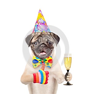 Dog in birthday hat holding glass of champagne and showing thumbs up. isolated on white background