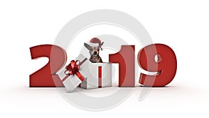 Dog Birthday Party concept 2019 New Year sign..