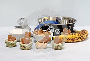 Dog biscuit ice cream cookies with ingredients and dog bowl.  Copy space