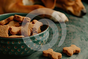 Dog biscuits in a teal bowl with a resting dog in the background, ideal for pet care and nutrition-focused content