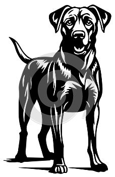 Dog black and white two colors silhouette