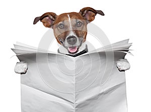 Dog blank newspaper