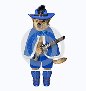 Dog in blue cloak with pistol