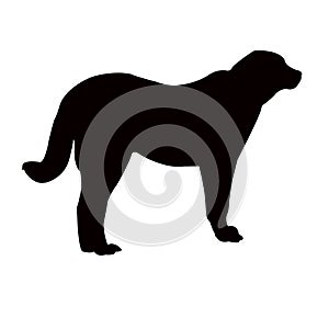 A dog body silhouette vector