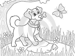 Dog with a bone in his mouth in the park. Nature and butterfly. Vector, children coloring book.
