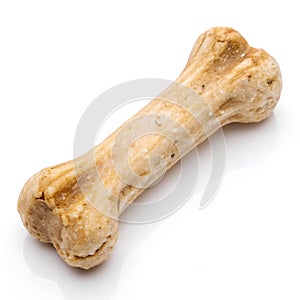 Dog Bone Isolated on White Background
