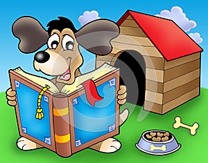 Dog with book in front of kennel