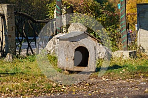 Dog booth. Selective focus background and copy space for text