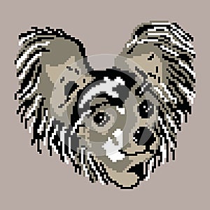 Dog breed black Chinese Crested silhouette face muzzle painted by squares, pixels. Silhouette breed Chinese Crested