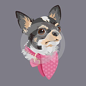 Dog breed Chihuahua. Funny cartoon character. Animal domestic.