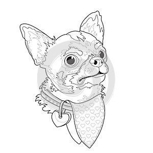 Dog breed Chihuahua. Funny linear cartoon character. Animal domestic. Vector.