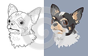 Dog breed Chihuahua. Pet head flat and linear. Vector.