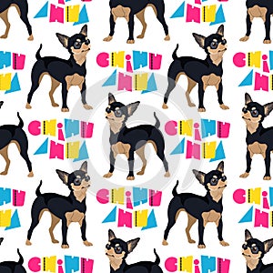 Dog breed Chihuahua seamless pattern. Vector flat illustration.