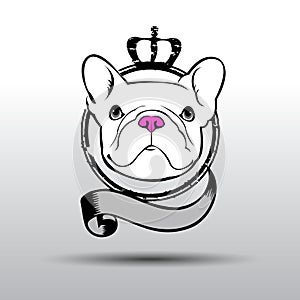 Dog breed cute pet animal bulldog french