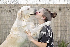 Dog breed Golden Retriever giving a hug to his owner.