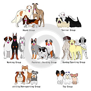 Dog breed groups