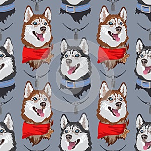Dog breed Husky seamless pattern. Vector flat illustration.