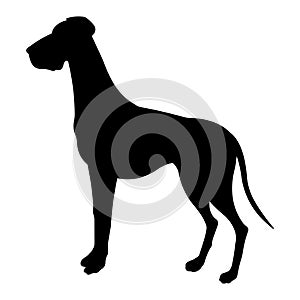 Dog breed illustration. Black silhouette Great Dane.