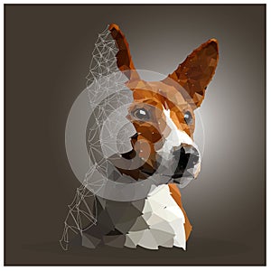 Dog breed Jack Russell Terrier polygonal vector