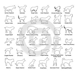 Dog breed set collection vector line contour silhouette illustration isolated.