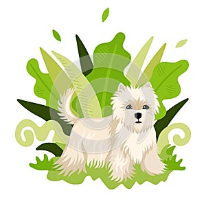 Dog breed shi tzu stands on the background of plants. Cute bright childish pet illustration. Vector illustration.