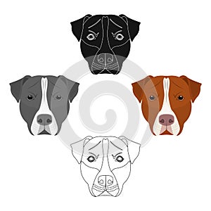 Dog breed, Stafford.Muzzle of Stafford single icon in cartoon,black style vector symbol stock illustration web.
