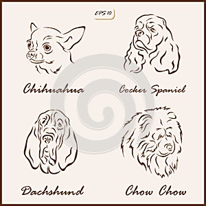 The dog breeds