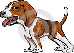 Dog Breeds: Beagle Hound