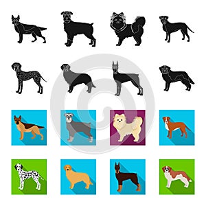 Dog breeds black,flet icons in set collection for design.Dog pet vector symbol stock web illustration.