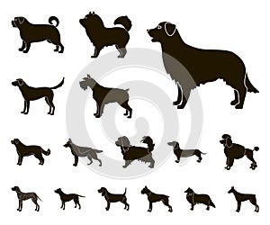 Dog breeds black icons in set collection for design.Dog pet vector symbol stock web illustration.