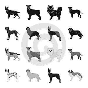 Dog breeds black,monochrome icons in set collection for design.Dog pet vector symbol stock web illustration.