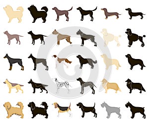 Dog breeds cartoon,black icons in set collection for design.Dog pet vector symbol stock web illustration.