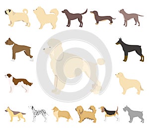 Dog breeds cartoon icons in set collection for design.Dog pet vector symbol stock web illustration.