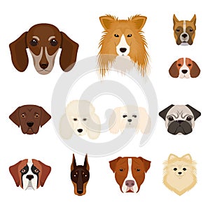 Dog breeds cartoon icons in set collection for design.Muzzle of a dog vector symbol stock web illustration.