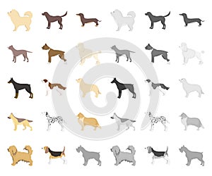 Dog breeds cartoon,mono icons in set collection for design.Dog pet vector symbol stock web illustration.