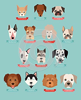 Dog breeds collection with ribbon and name