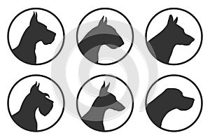 Dog breeds graphic icons set