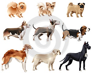 Dog Breeds Icon Set